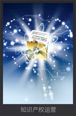 知識產權運營